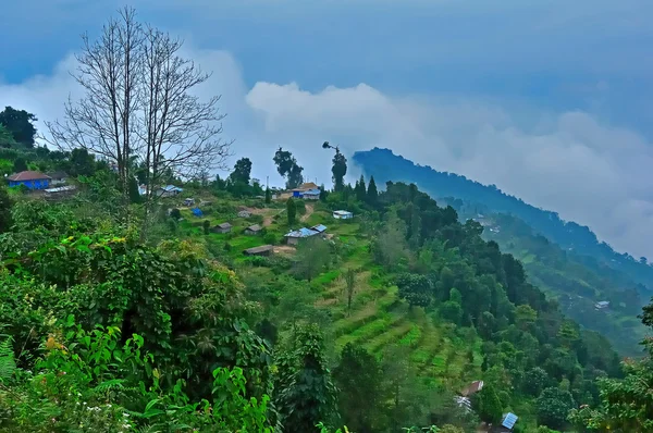 La vallée verdoyante, route du village et chalets ciel bleu, escalade agricole, montagnes — Photo