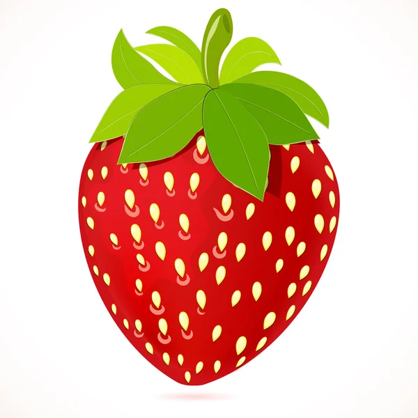 Frische Erdbeere. — Stockvektor