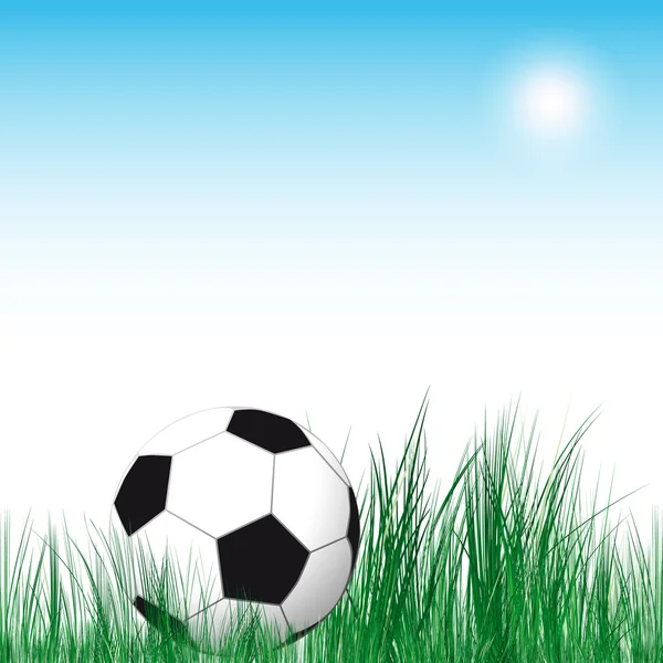 足球球背景。在绿色的草地足球球. — 图库矢量图片