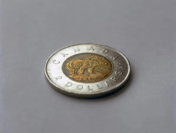 Moneda canadiense de dos dólares con oso polar . —  Fotos de Stock