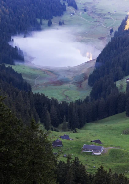 Βαθιά καταπράσινη κοιλάδα με λίμνη, Ελβετία — Φωτογραφία Αρχείου