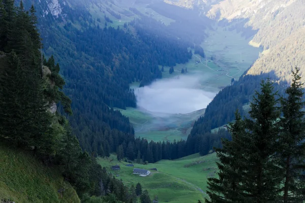 Vale verde profundo com lago, Suíça — Fotografia de Stock