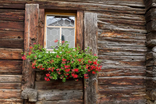 Withered window with geranium decoration — Stock Photo, Image