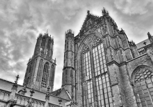 Katedrála katedrála svatého Martina z utrecht, Nizozemskoユトレヒト、オランダの聖マルティン大聖堂大聖堂 — ストック写真