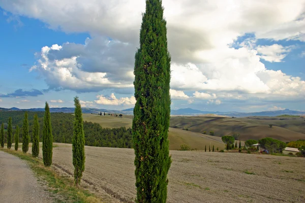 Uma tarde na Toscana — Fotografia de Stock