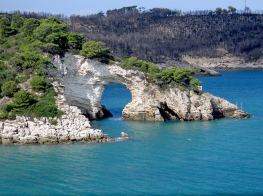 Natural stone bridge in the coastline