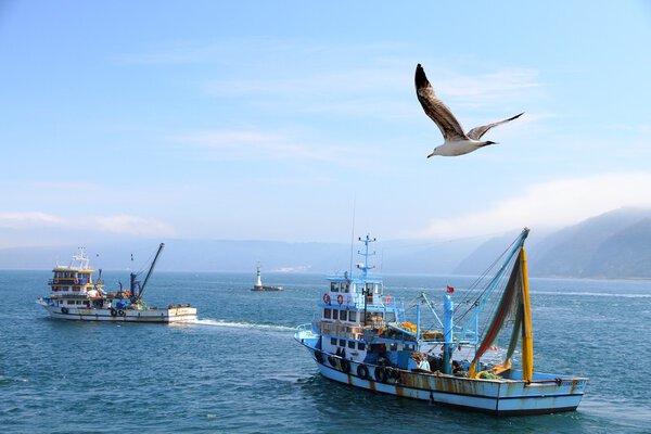 Рыболовные суда
