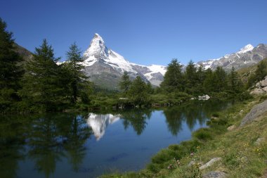 bir ağaçlık dağ gölü Dağı matterhorn yansıtır