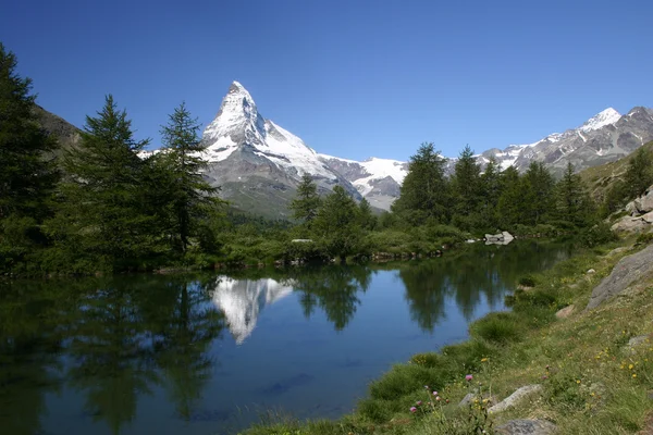 Monte Matterhorn se refleja en un lago de montaña arbolado — Foto de Stock