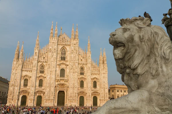 Statue de lion et cathédrale duomo, Italie — Photo