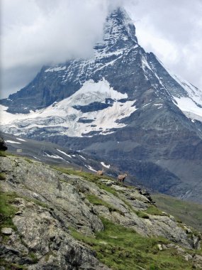 Famous Matterhorn in Swiss canton Valais in clouds clipart