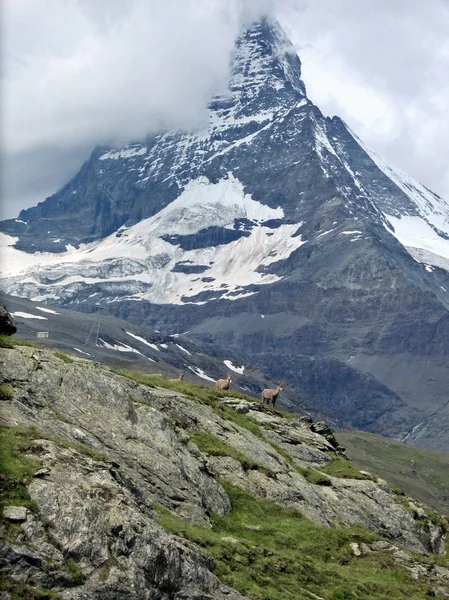 Berühmtes Matterhorn im Schweizer Kanton Wallis in Wolken — Stockfoto