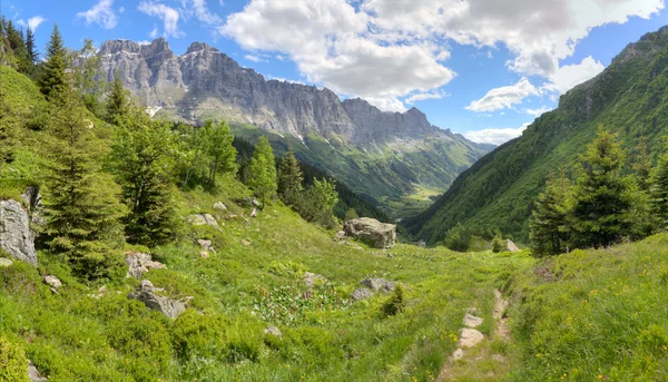 Zwitserland bergen in de zomer — Stok fotoğraf