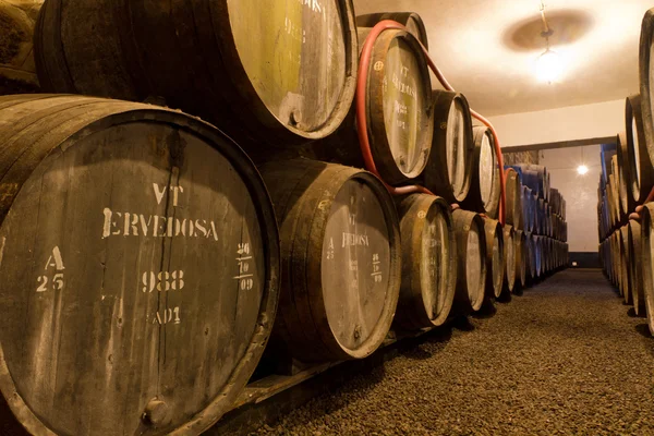 Haven wijn leeftijden in vaten in kelder — Stockfoto