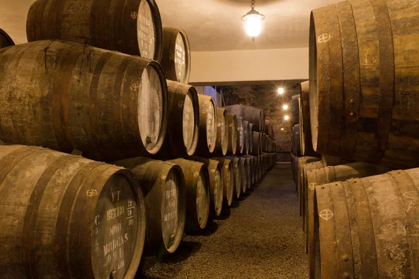 Port wine ages in barrels in cellar — Stock Photo, Image