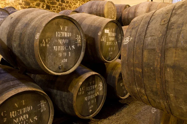 Portwein reift in Fässern im Keller — Stockfoto