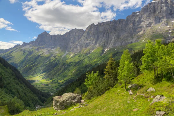 Suíça montanhas no verão — Fotografia de Stock