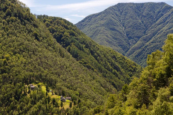 Ticino rusticos in bos gebergte — Stockfoto