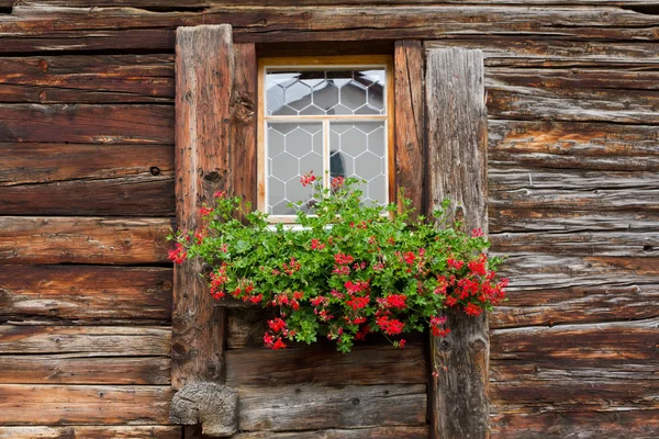 Verdorde venster met geranium decoratie — Stockfoto
