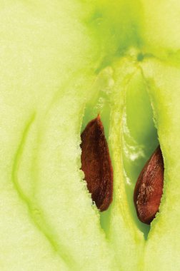 Apple half cut, green core and seeds, smith manzana macro closeup clipart