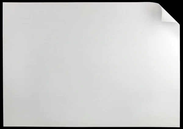 Белая завивка — стоковое фото