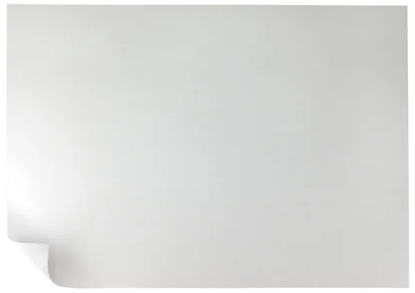 Белая завивка — стоковое фото
