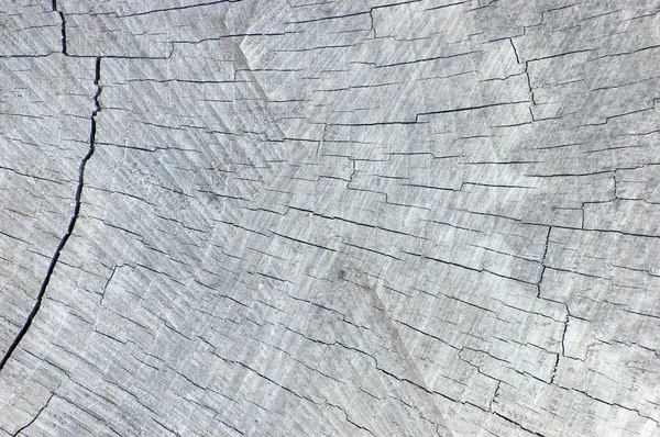 Büyük doğal yıpranmış gri ağaç kütüğü doku arka plan kesmek — Stok fotoğraf