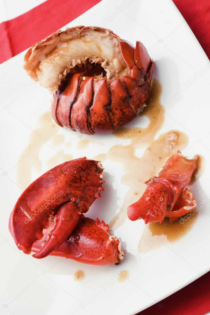 Lobster on white dish