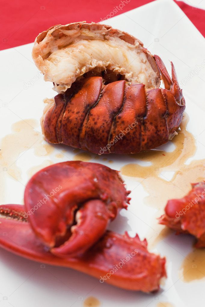 Lobster closeup