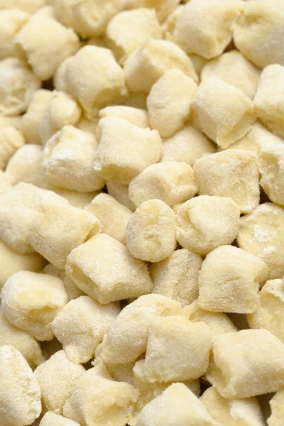 gnocchi portre