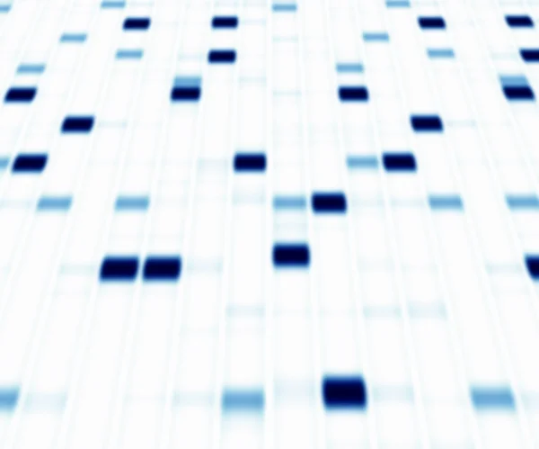 Gel de DNA Eletroforese — Fotografia de Stock