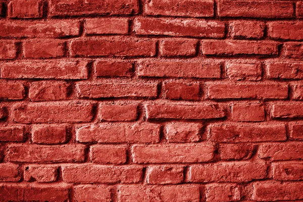 stock image Painted red wall