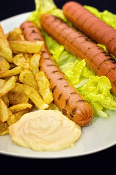 Worst met huisgemaakte frieten — Stockfoto