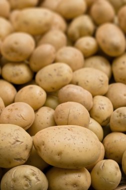 Tilt-shifted potatoes clipart