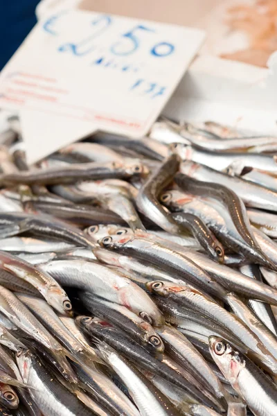 Śródziemnomorskiej sardele w rynku ryb — Zdjęcie stockowe