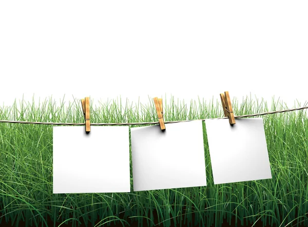 Hängande blankt papper på klädstreck i fältet — Stockfoto