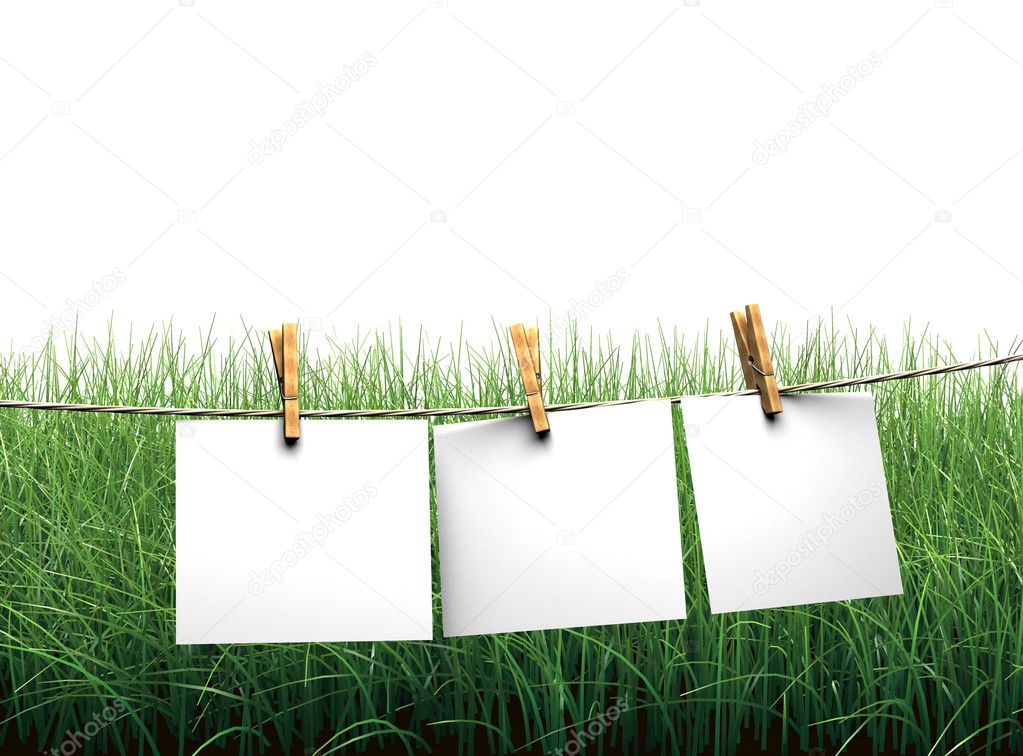 Hanging blank paper on clothesline in field