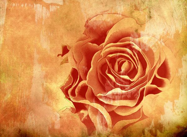 Abstract grunge background with rose