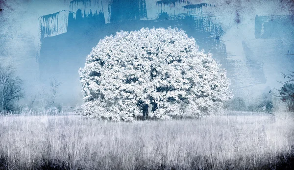 Frozen tree - picture in retro style — Stock Photo, Image