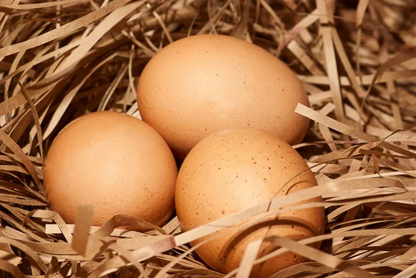 Brązowe jaja w gnieździe siana — Zdjęcie stockowe