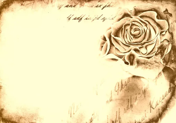 Rose bud on grunge background — Stock Photo, Image