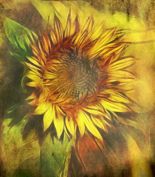 Vintage Hintergrund mit Sonnenblume — Stockfoto
