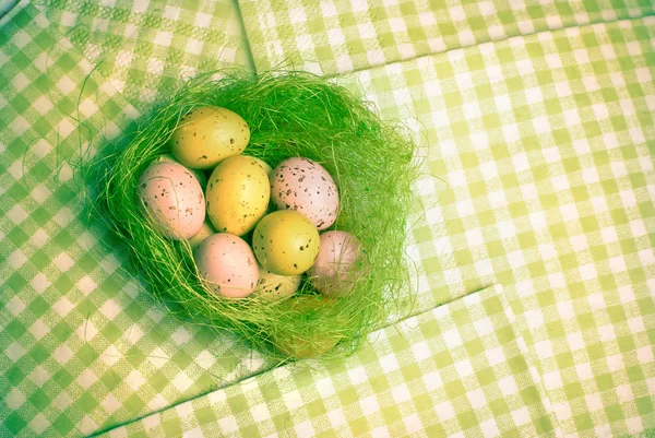 Яйца в гнезде — стоковое фото