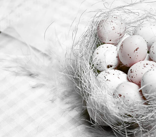 Uova di Pasqua nel nido — Foto Stock
