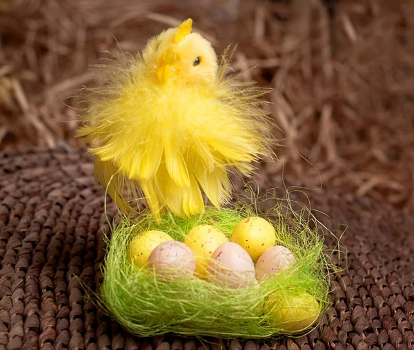 Pintainho de Páscoa e ovos no ninho — Fotografia de Stock