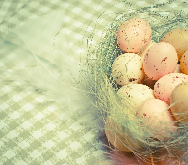 Eieren in nest — Stockfoto