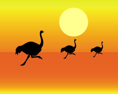 Silhouettes of running ostrich clipart