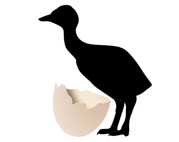 Silhouet struisvogel — Stockvector
