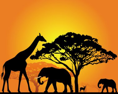 African animals clipart
