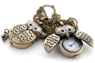 Watch the owl, the long chain of bronze clipart